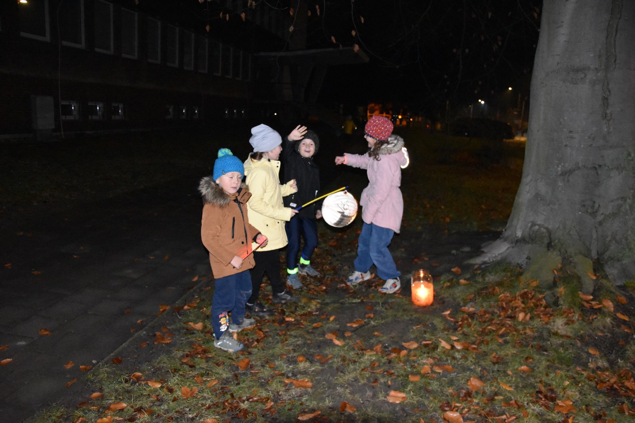 Ukázkový obrázek příspěvku